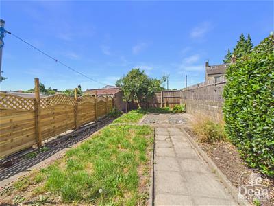 Picture 8